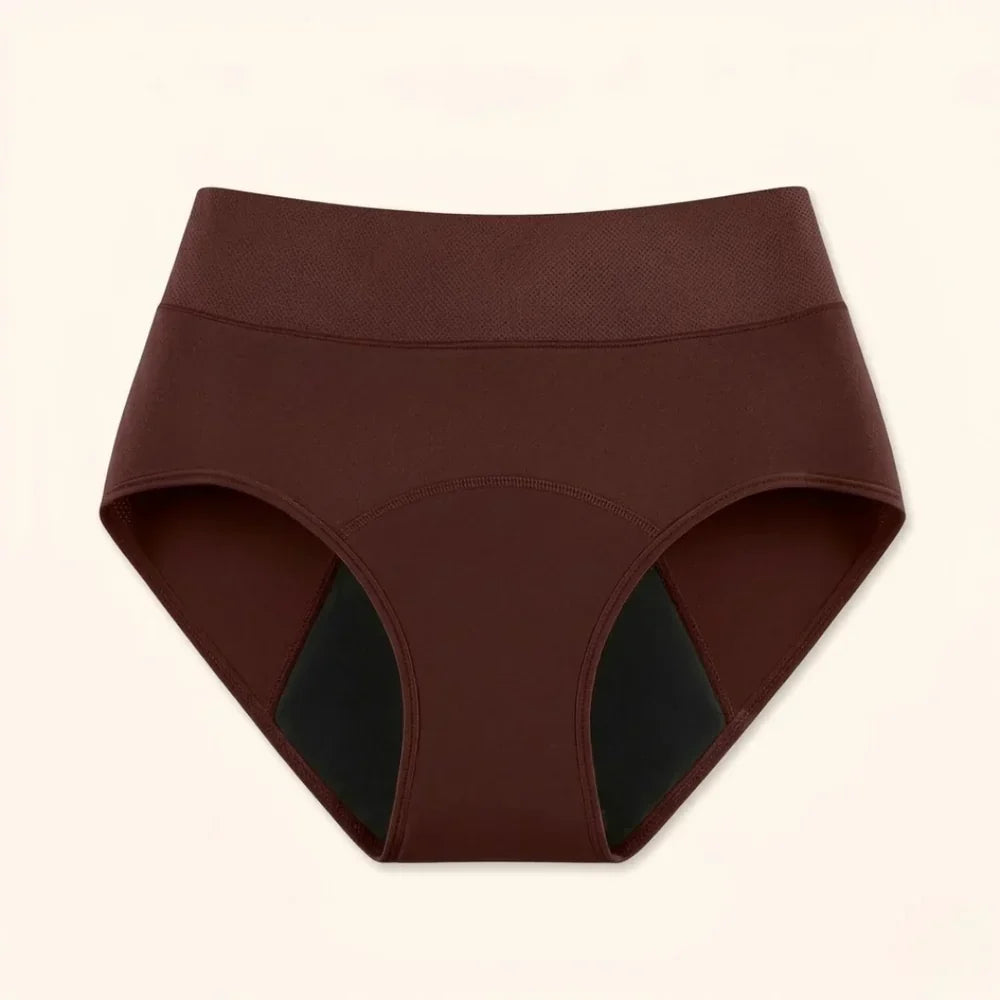 💥 2026 Limited 60% ️OFF 💦 DRYORA™ Leak-Proof Incontinence Underwear – Bladder Leak & Odor Protection